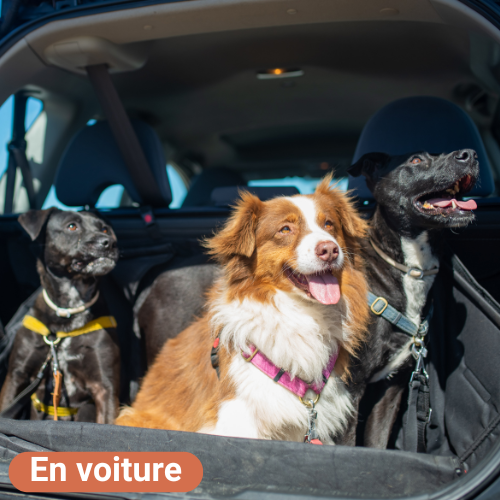 En voiture