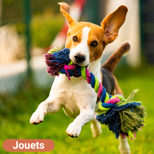 jouets