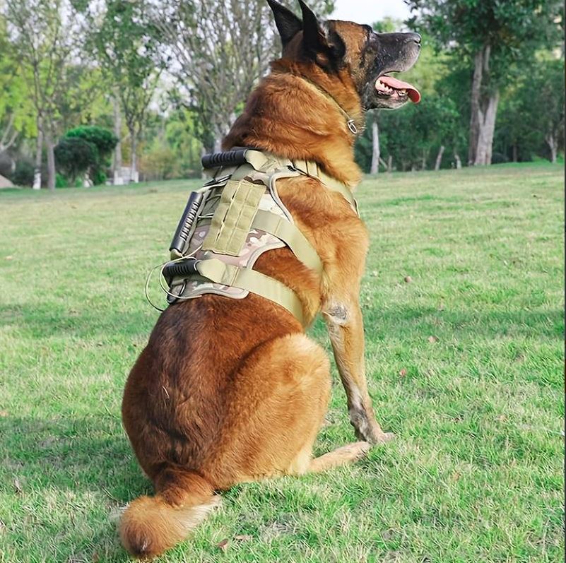 Harnais militaire moyen - gros chien