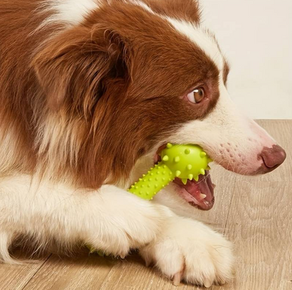 Jouets à mâcher pour chiots