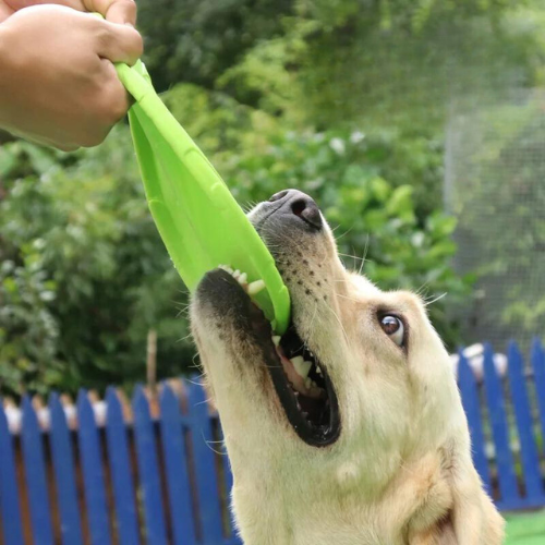 Frisbee en caoutchouc