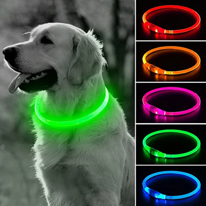 Collier fluo - rechargeable LED