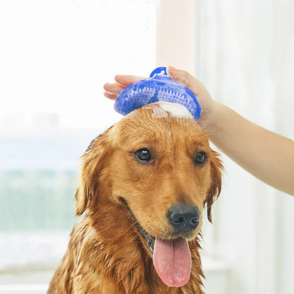 Brosse de lavage