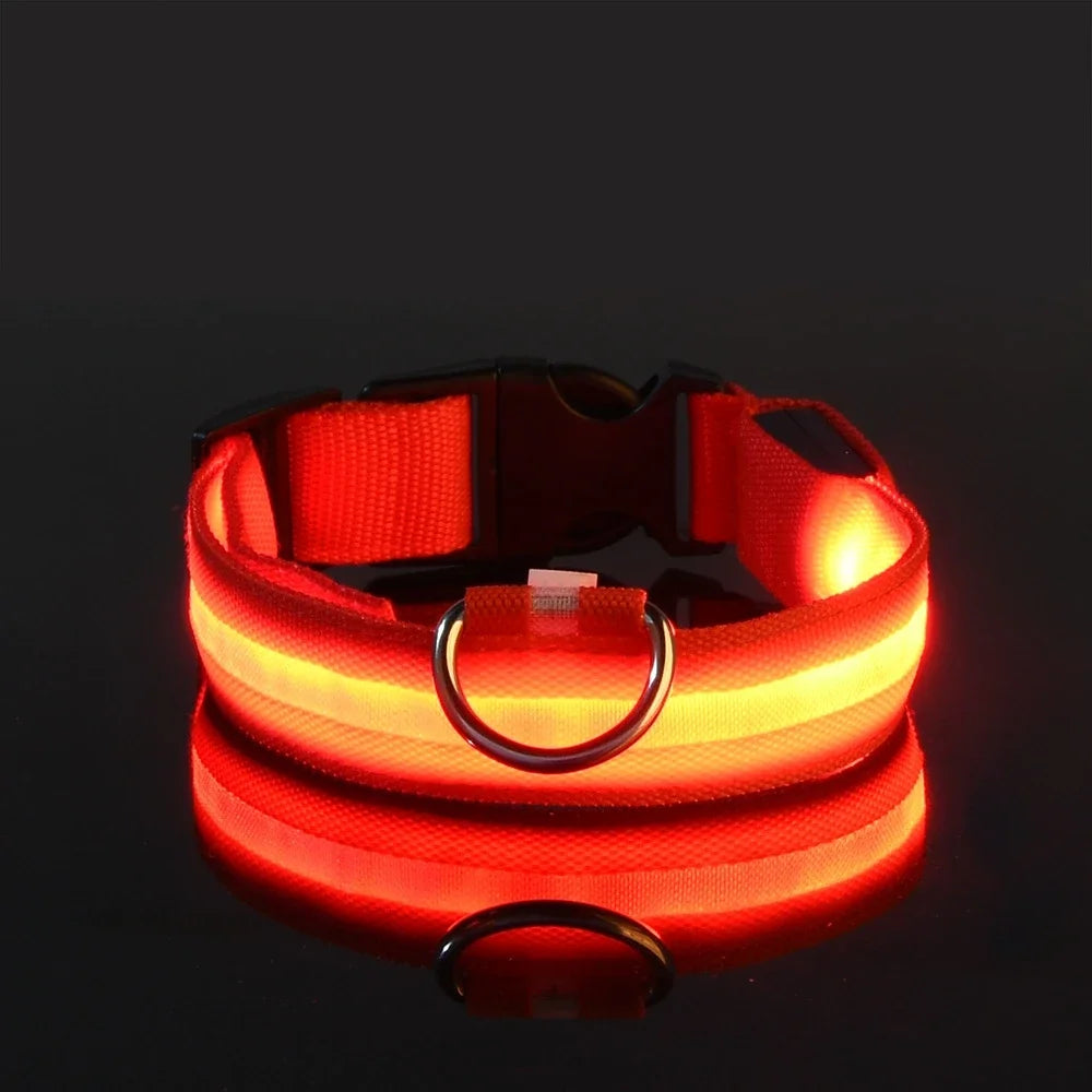 Collier LED - Nylon