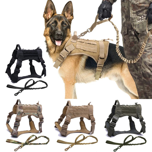 Harnais militaire moyen - gros chien