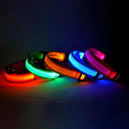 Collier LED - Nylon