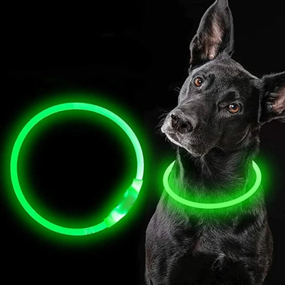 Collier fluo - rechargeable LED