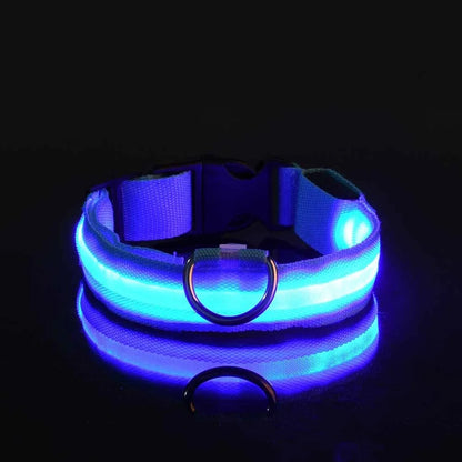 Collier LED - Nylon