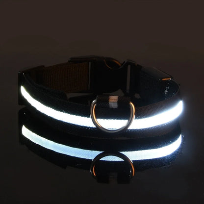 Collier LED - Nylon