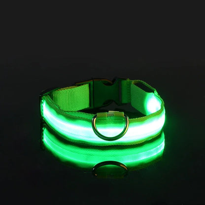 Collier LED - Nylon