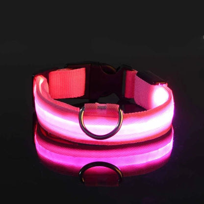 Collier LED - Nylon