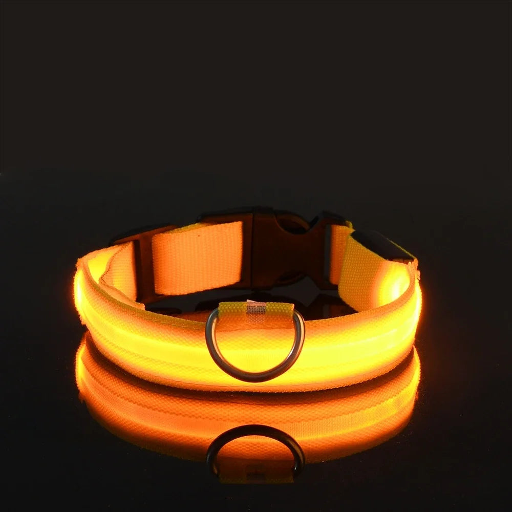 Collier LED - Nylon