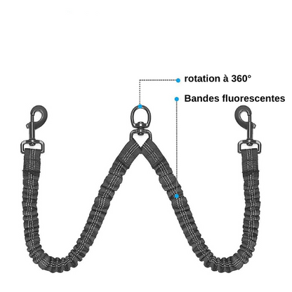 Laisse double anti enroulement